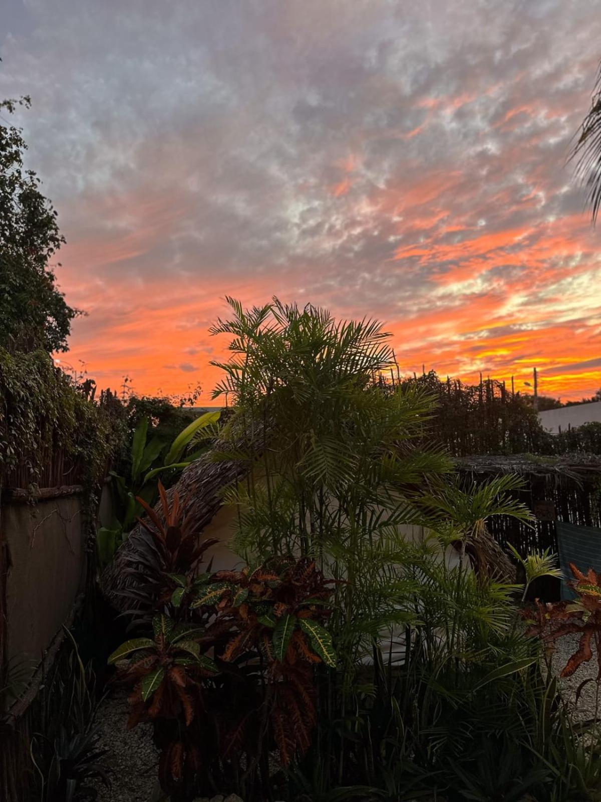 El Búho Glamping Bacalar