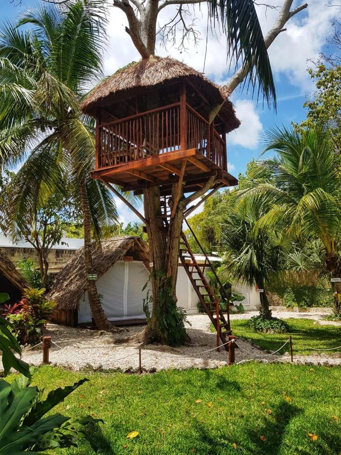 El Buho Eco-cabanas Camping Bacalar