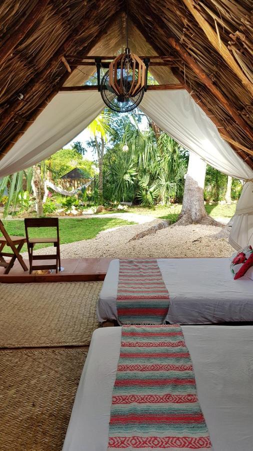 El Buho Eco-cabanas Camping